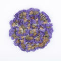 Skin Beauty Herb Flower Tea Forget Me Not Flower Herbal Tea or Dried Don't Forget Me Flower Herbal Tea